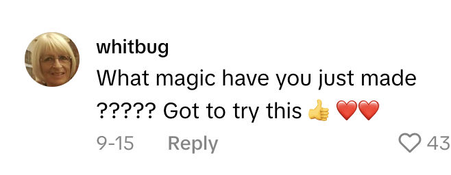 TikTok comment